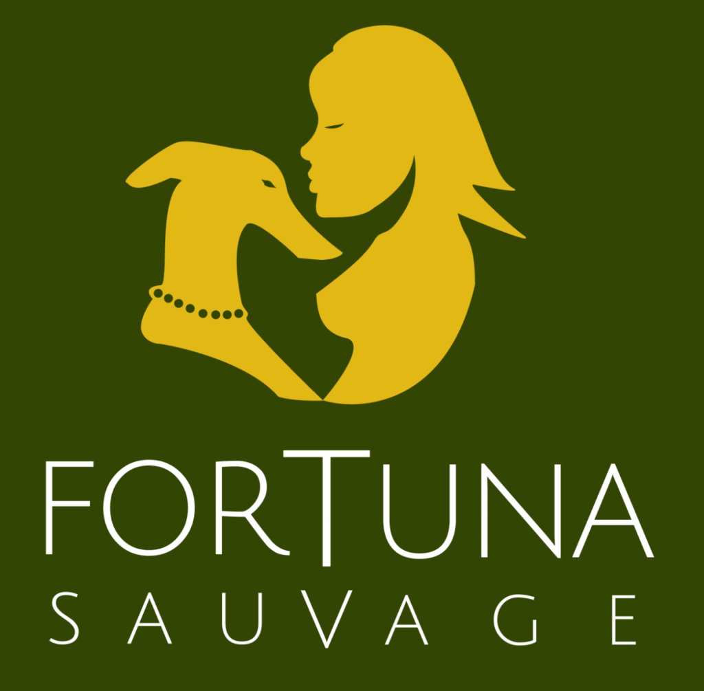 Logo Fortuna Sauvage